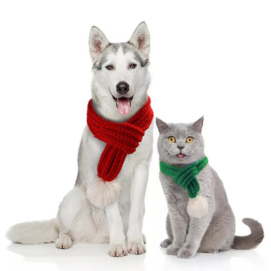 Pet Knitted  Scarf Creative VIP Teddy Scarf Cat Dog